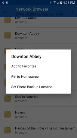 Network Browser screenshot 2