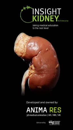 INSIGHT KIDNEY Enterprise screenshot 13