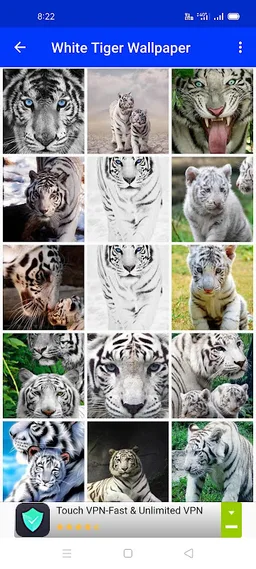 White Tiger Wallpaper Hd screenshot 7