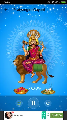 Pratyangira Devi Pooja screenshot 4