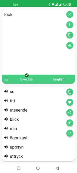 Swedish - English Translator screenshot 2
