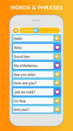 Learn Czech - Language Learning Pro screenshot 2