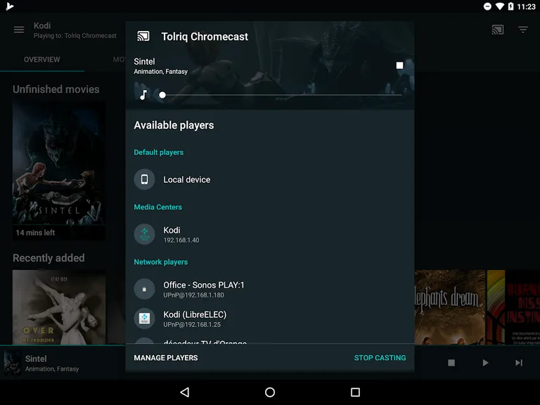 FireTV renderer plugin for Yatse screenshot 6