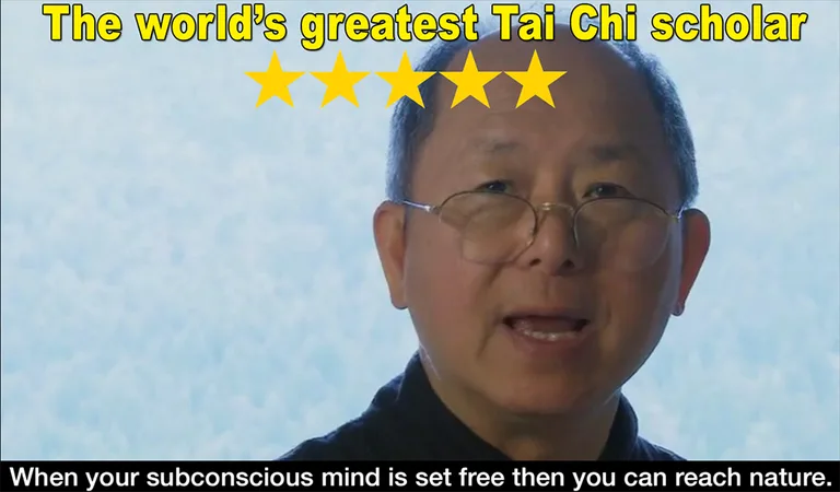 Yang Tai Chi for Beginners 2&3 screenshot 5
