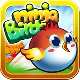 Ninja Bird icon