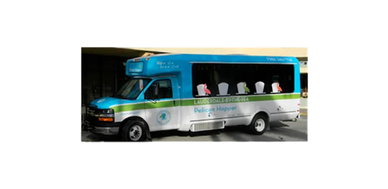 Pelican Hopper LBTS cover image