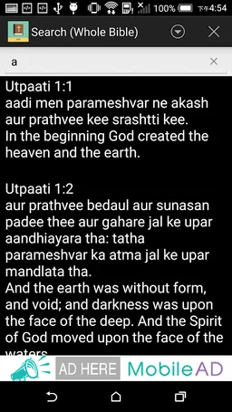 Hindi(Tr) English Bible screenshot 4