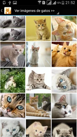 Imágenes de Gatos screenshot 2