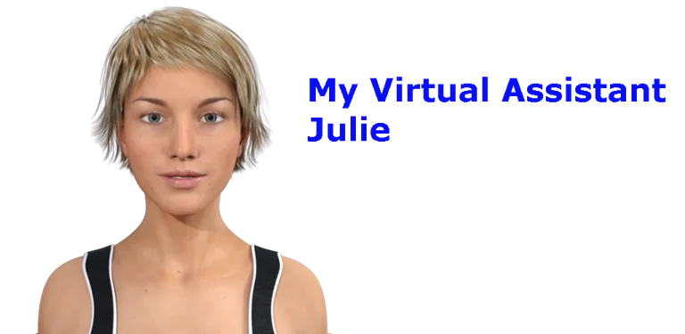My Virtual Assistant Julie cover image