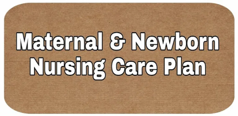 Maternal and Newborn Care Plan cover image