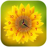 Sunflower Clock Live Wallpaper icon