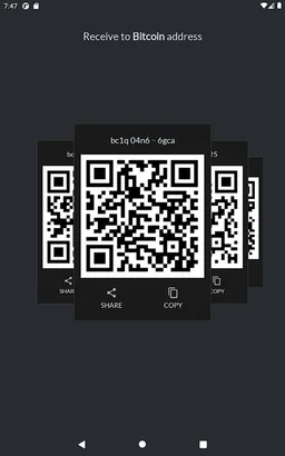 SBW: Simple Bitcoin Wallet screenshot 8