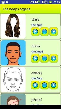 Learn Czech language screenshot 9