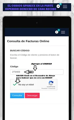 Factura de Energía Eléctrica⚡💰🇭🇳KWh⚡ screenshot 11