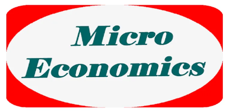 Micro economics cover image
