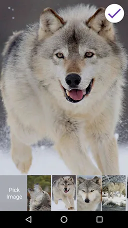 4K Wolf Lock Screen screenshot 5