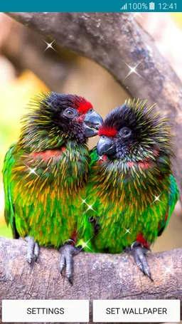 Live Wallpapers - Love Birds screenshot 7