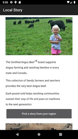 Brand Dashboard screenshot 1