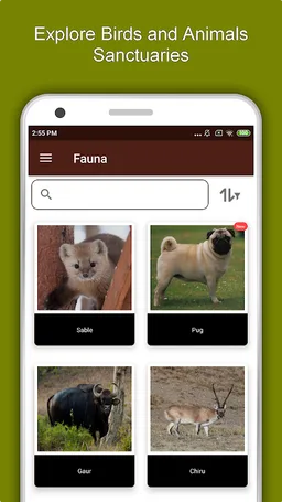Chengdu Travel & Explore, Offline City Guide screenshot 16