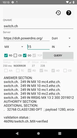 DNS Client for Android screenshot 1