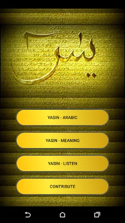 Surah Yaseen screenshot 4