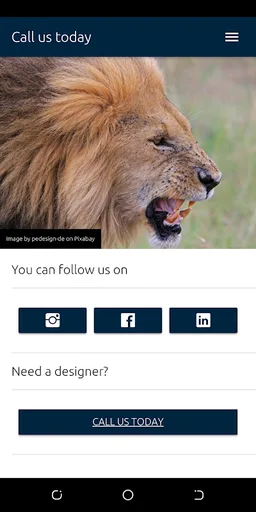 Company Profile screenshot 4