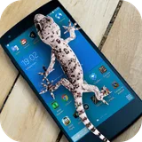 Lizard in phone funny joke icon