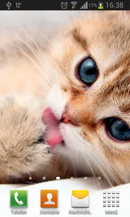 Kittens live wallpaper screenshot 1