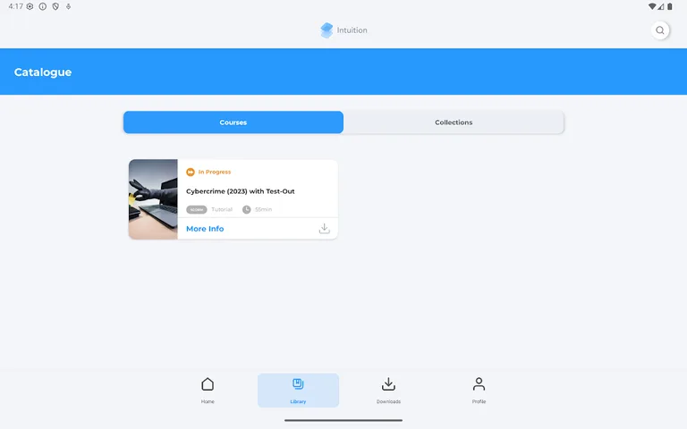 Intuition Rubicon NX screenshot 9