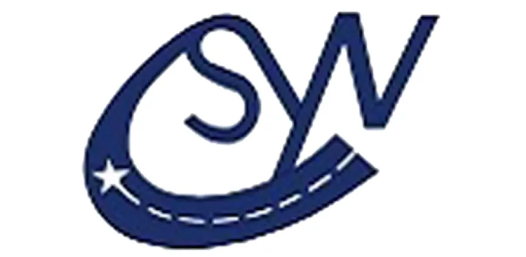 SYN Track cover image