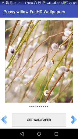 Pussy willow FullHD Wallpapers screenshot 3