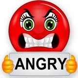 Angry Insult Rude Crazy Status icon