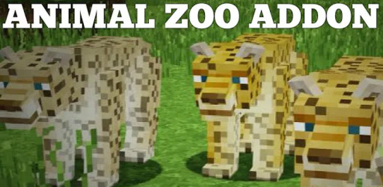 Addon Animal Zoo cover image