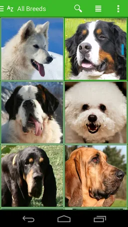 iKnow Dogs 2 PRO screenshot 11