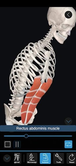 3D Organon screenshot 4