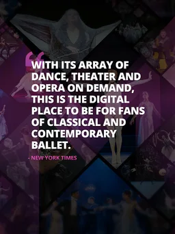 Marquee TV screenshot 5