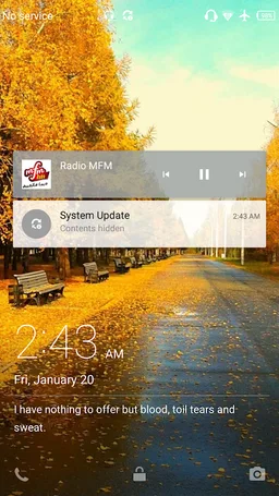 Radio Maroc Light screenshot 1