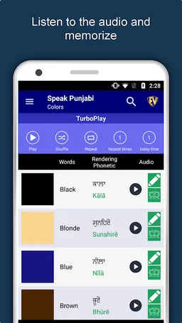 Learn Punjabi Language Offline screenshot 13
