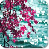 Ocean Stunning HD Wallpapers icon