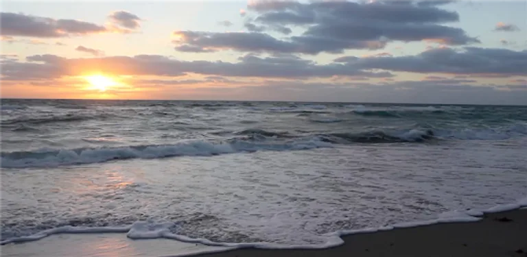 Real Beach Live Wallpaper cover image