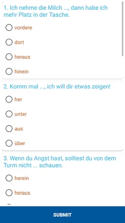 Learn German B2 Test screenshot 6