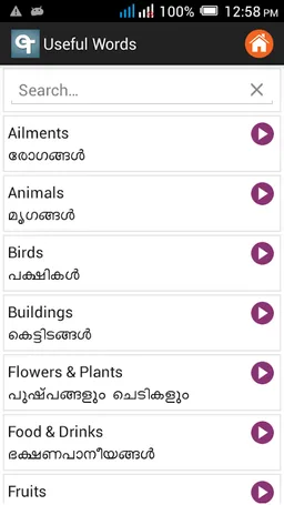 Malayalam Dictionary screenshot 9