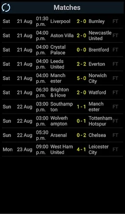 Premier League ChampionsLeague screenshot 6