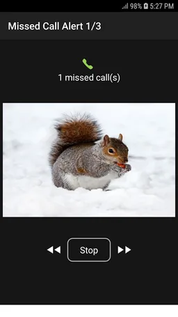 Missed Call Alert screenshot 2