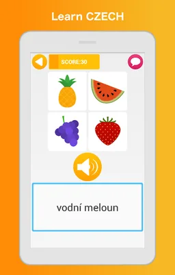 Learn Czech - Language Learning Pro screenshot 5