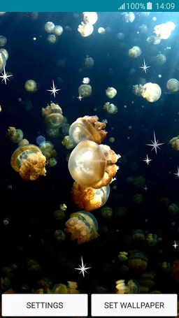 Live Wallpapers - Jellyfish screenshot 6