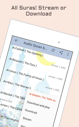 Audio Quran by Abdul Basit screenshot 9