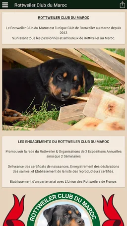 Rottweiler Club du Maroc screenshot 9