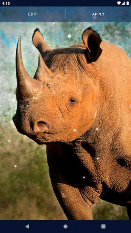 Wild Animals Wallpapers screenshot 7