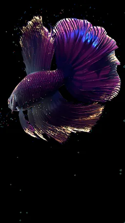Betta Fish Live Wallpaper FREE screenshot 6